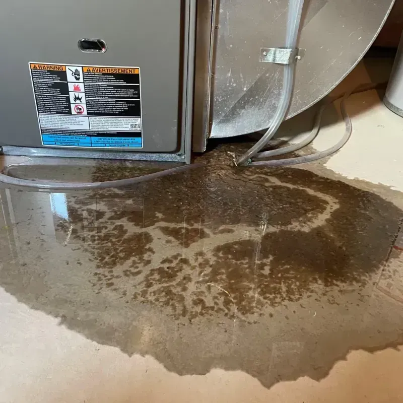 Appliance Leak Cleanup in Melrose Park, FL